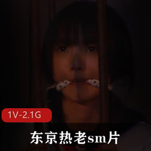 JK小妹失眠冲击钻改装道就娆东京热老sm片，1小时1V-2.1G视频