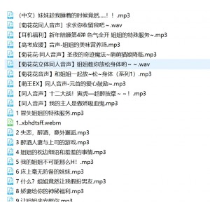 雷电将军合集：34部视频，总大小1.4g，百度盘下载