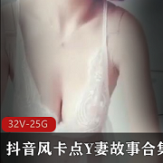 《Y妻故事合集：大神卡点，小姐姐身材颜值打粑粑，32个视频25GB资源》